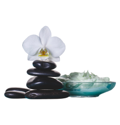 Восстановительная медицина Восстановительная медицина